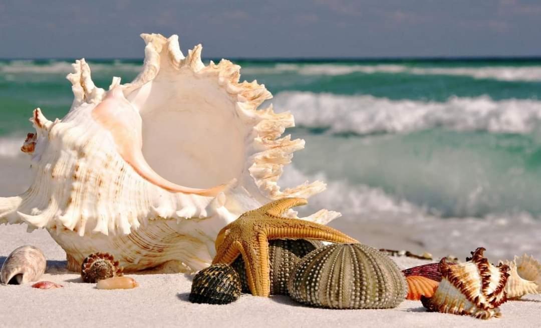Hotel Casa Coco Rio Playa del Carmen Zewnętrze zdjęcie